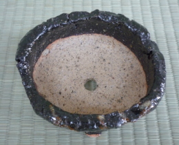 植木鉢の写真